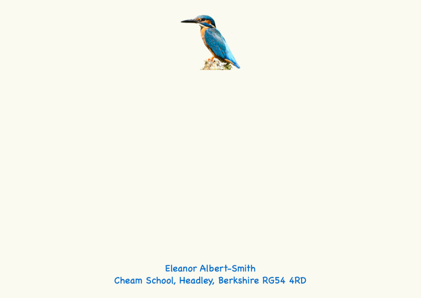 Garden Mixed Box - Bees, Butterfly, Dragonfly, Blue tit & Kingfisher