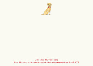 Labrador - Yellow Sitting