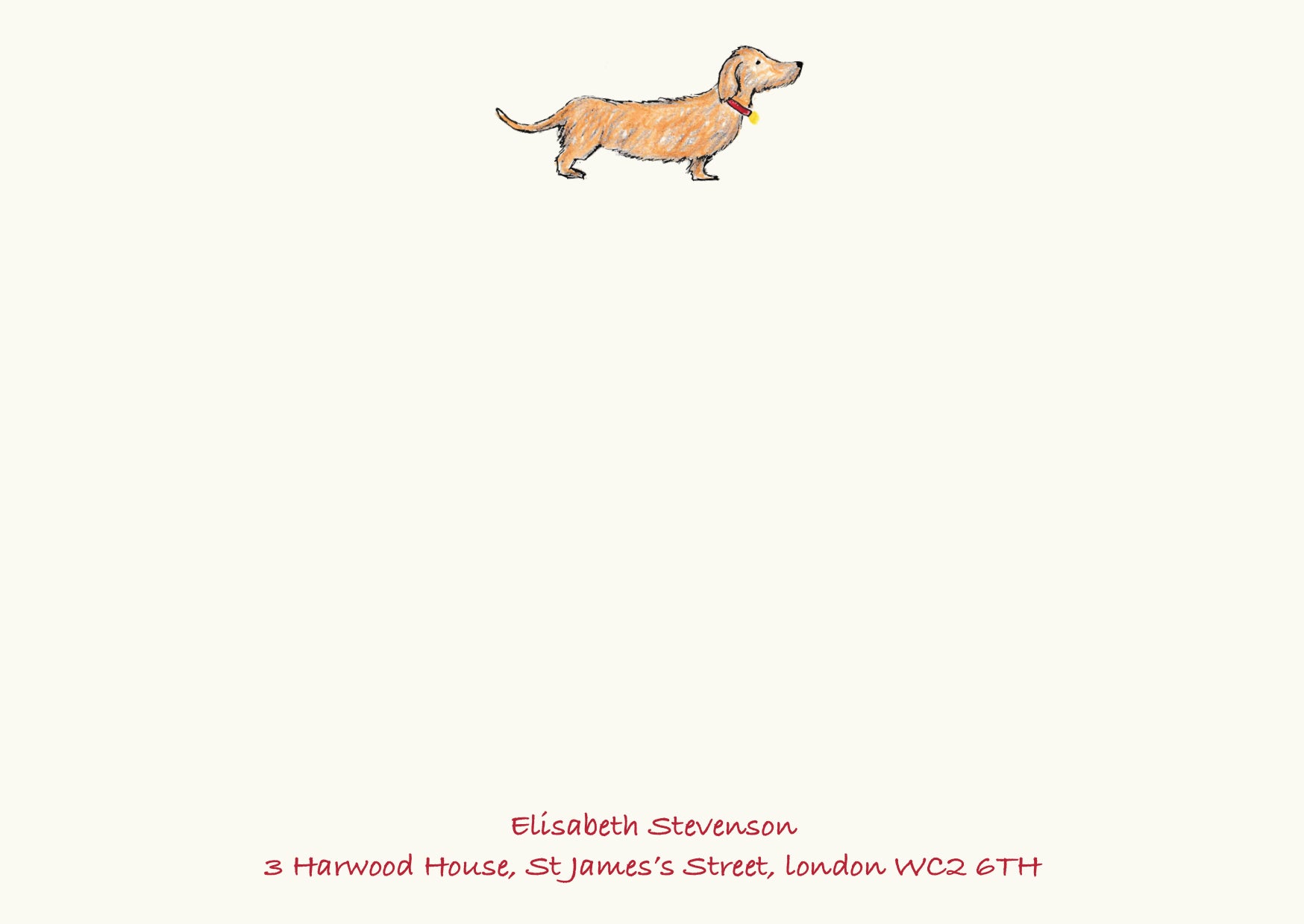 Dachshund - Brown
