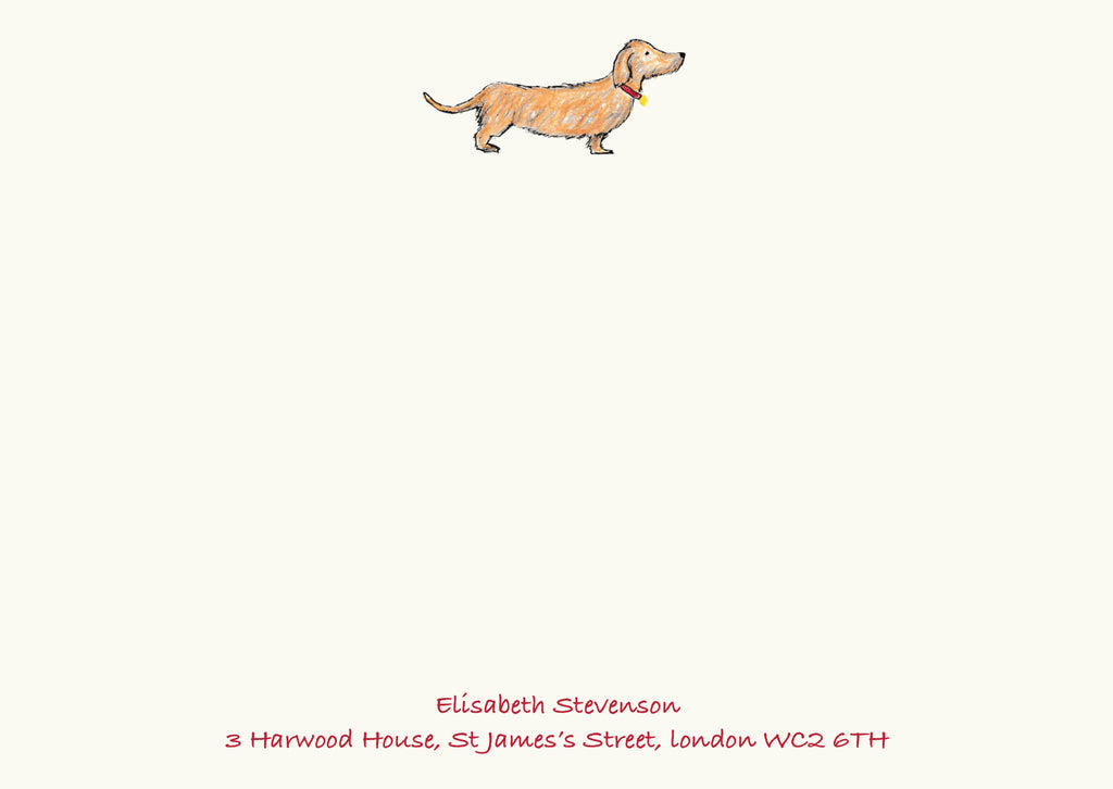 Dachshund - Brown