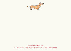 Dachshund - Brown