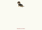 Dachshund - Black & Tan