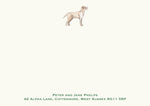 Labrador - Yellow