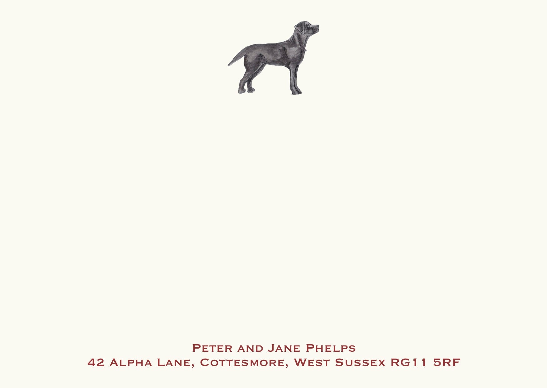 Labrador - Black