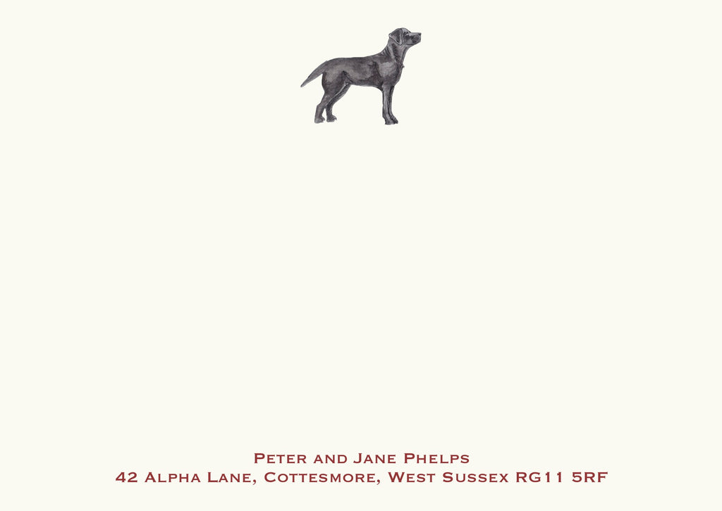 Labrador - Black