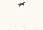 Labrador - Black