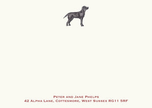 Labrador - Black