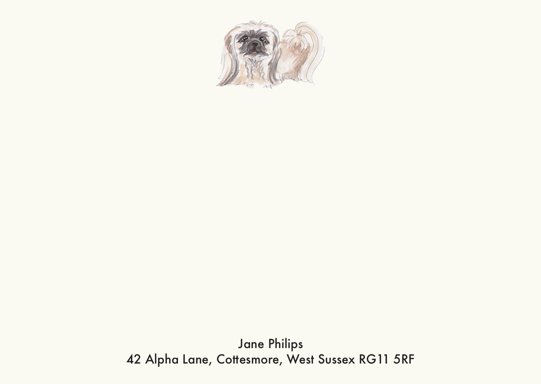 Pekingese Cream