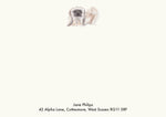 Pekingese Cream