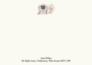 Pekingese Cream