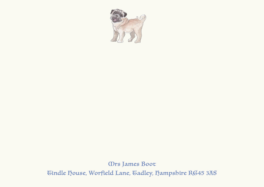 Pug