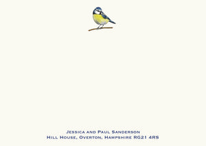Blue Tit