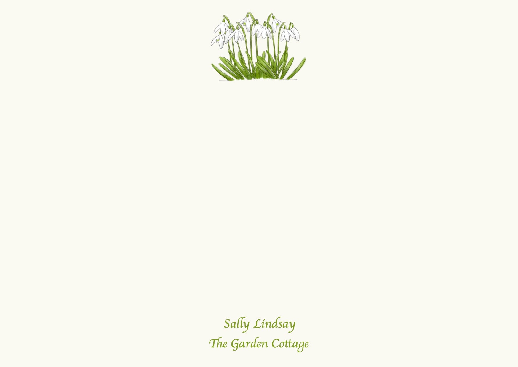 Snowdrops