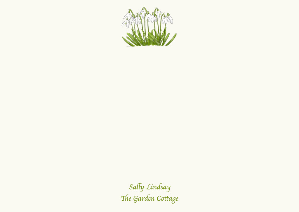 Snowdrops