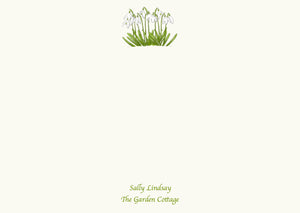 Snowdrops