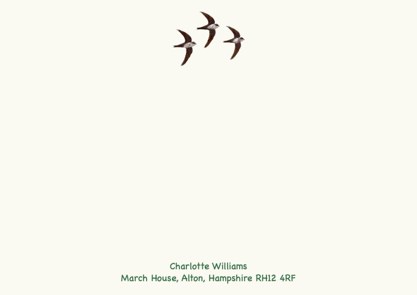 Swifts
