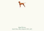 Vizsla
