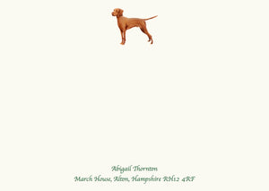 Vizsla