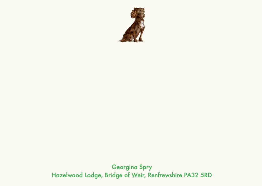 Working Cocker Spaniel - Brown