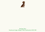 Working Cocker Spaniel - Brown