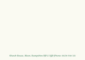 Text only - Bottom Layout 1 line